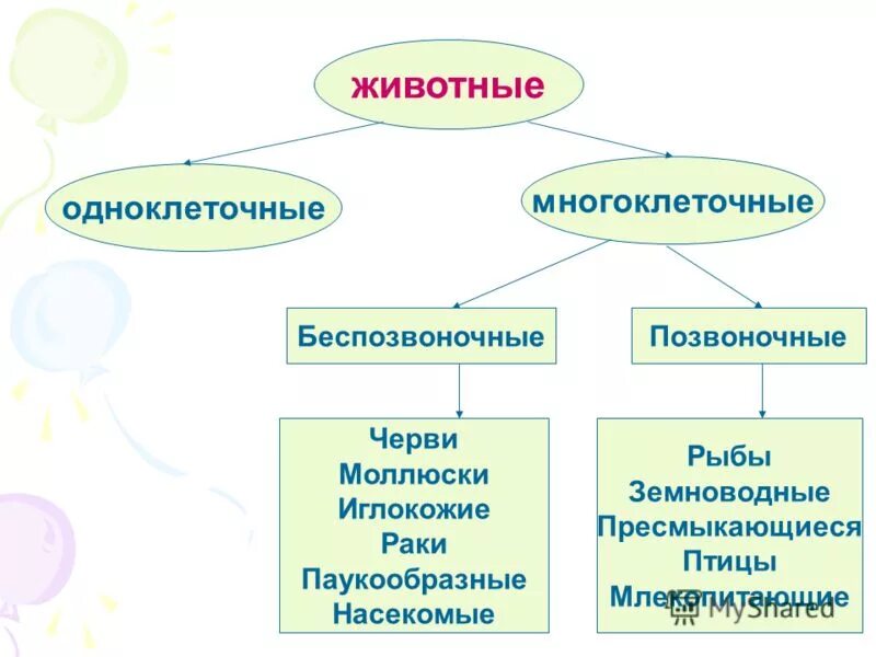 Водоросли простейшие вирусы. Биология неклеточные формы жизни вирусы. Происхождение вирусов. Многоклеточные бактерии представители. Биология 10 класс,неклеточная форма жизни: вирусы.