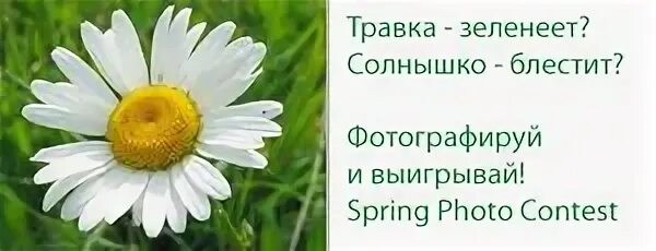 Травка зеленеет солнышко блестит слушать. Травка зеленеет солнышко блестит. Травка щеленеет солнышкоблестит. Стихотворение травка зеленеет солнышко блестит. Травка зеленеет солнышко блестит текст.