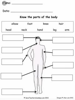 Ca part of body