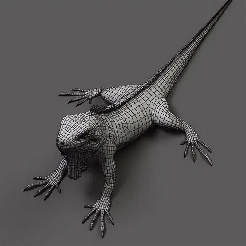 Ящерица 3д модель. Iguana 3d. 3d ящерица. ящерица 3д модель для принтера.