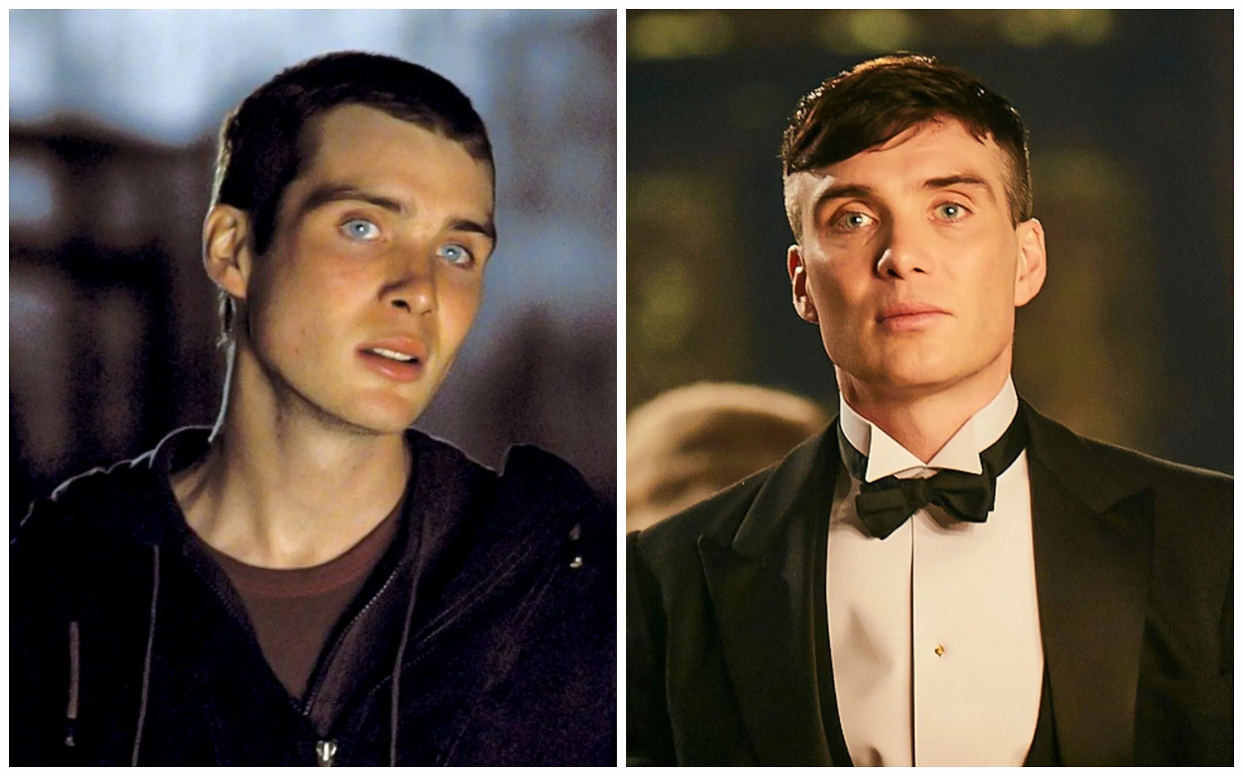 Лицо мерфи. Киллиан мерфи. киллиан мёрфи острые козырьки. cillian murphy острые козырьки. киллиан мерфи татуировки.