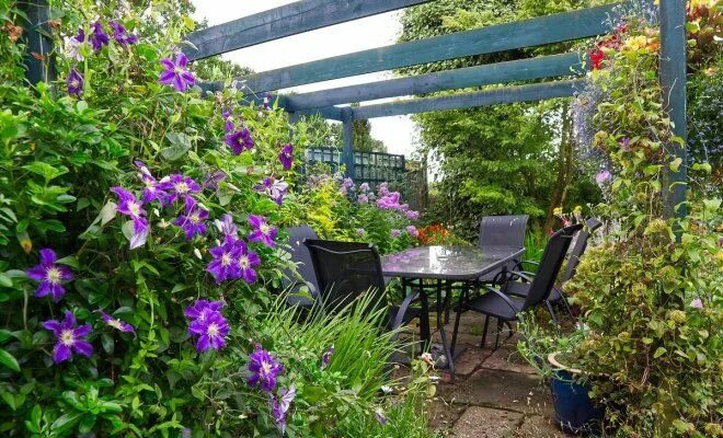 East front fence with Stella D' Oro daylilies and Jackmanii clematis Backyard fe