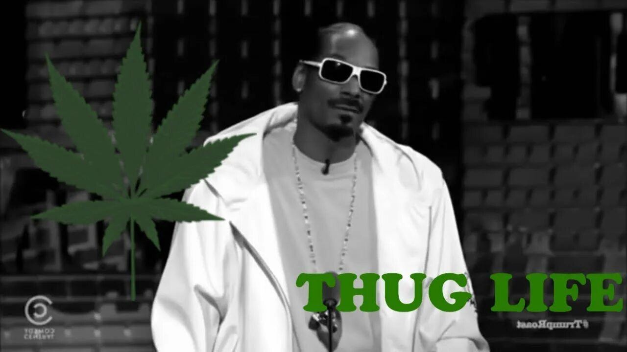 Snoop dogg life. Snoop dogg life. Snoop dogg ft goldie loc lets roll. Thug life снуп дог. 2pac snoop dogg.