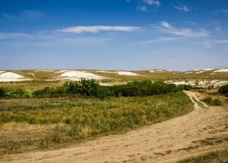 Покровские меловые горы оренбургская область