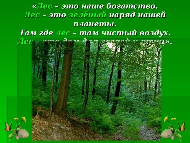 Работа с текстом лес. Презентация на тему леса. Презентация еловый лес. Сочинение русский лес. Текст лесные гости.
