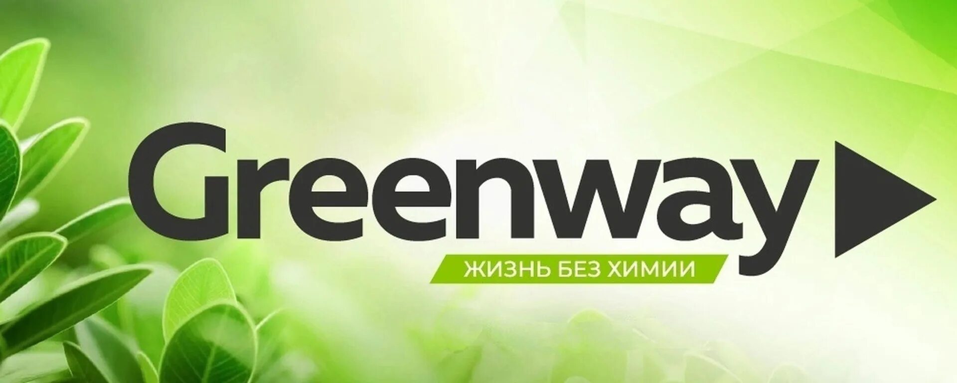 Greenway. Greenway логотип. Жизнь без химии. Гринвей баннер. Гринвей глобал ком