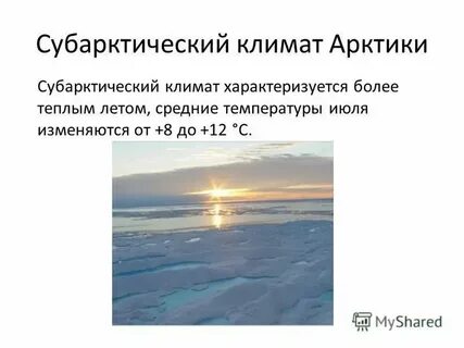 Арктический пояс температура в январе и июле