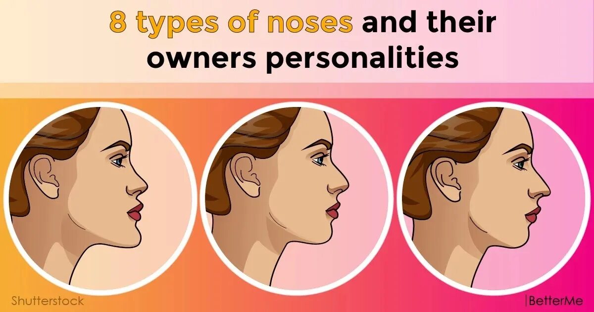 Нос перевести на английский. Types of noses. Kinds of noses. Different Types of nose. Виды носа.