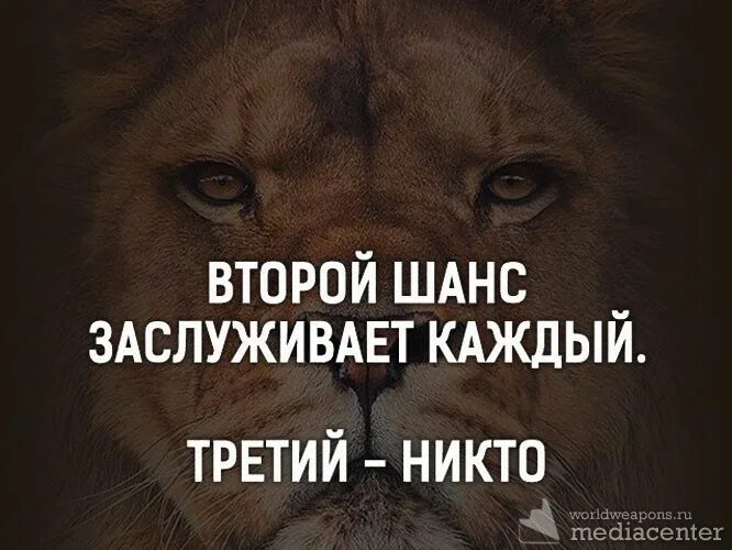 Каждый заслуживает второй шанс. Второй шанс заслуживает каждый третий никто. Высказывания про второй шанс. Второй шанс цитаты. Давать второй шанс бывшему