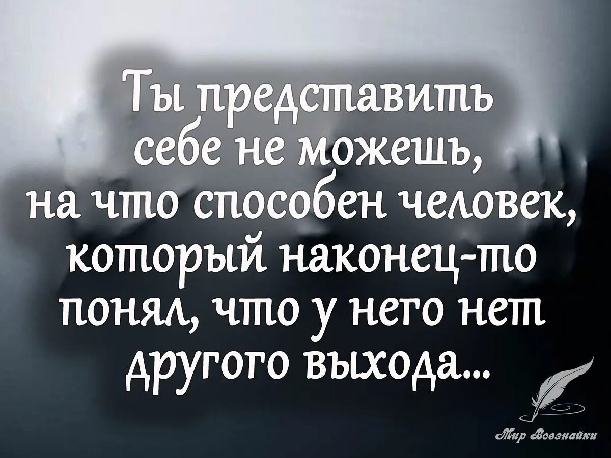 Представляет собой другими словами. Цитаты ты представить себе не можешь на что способен человек. Способные люди. Фразы для вдохновения. Ты не представляешь на что способен человек который понял что у него.