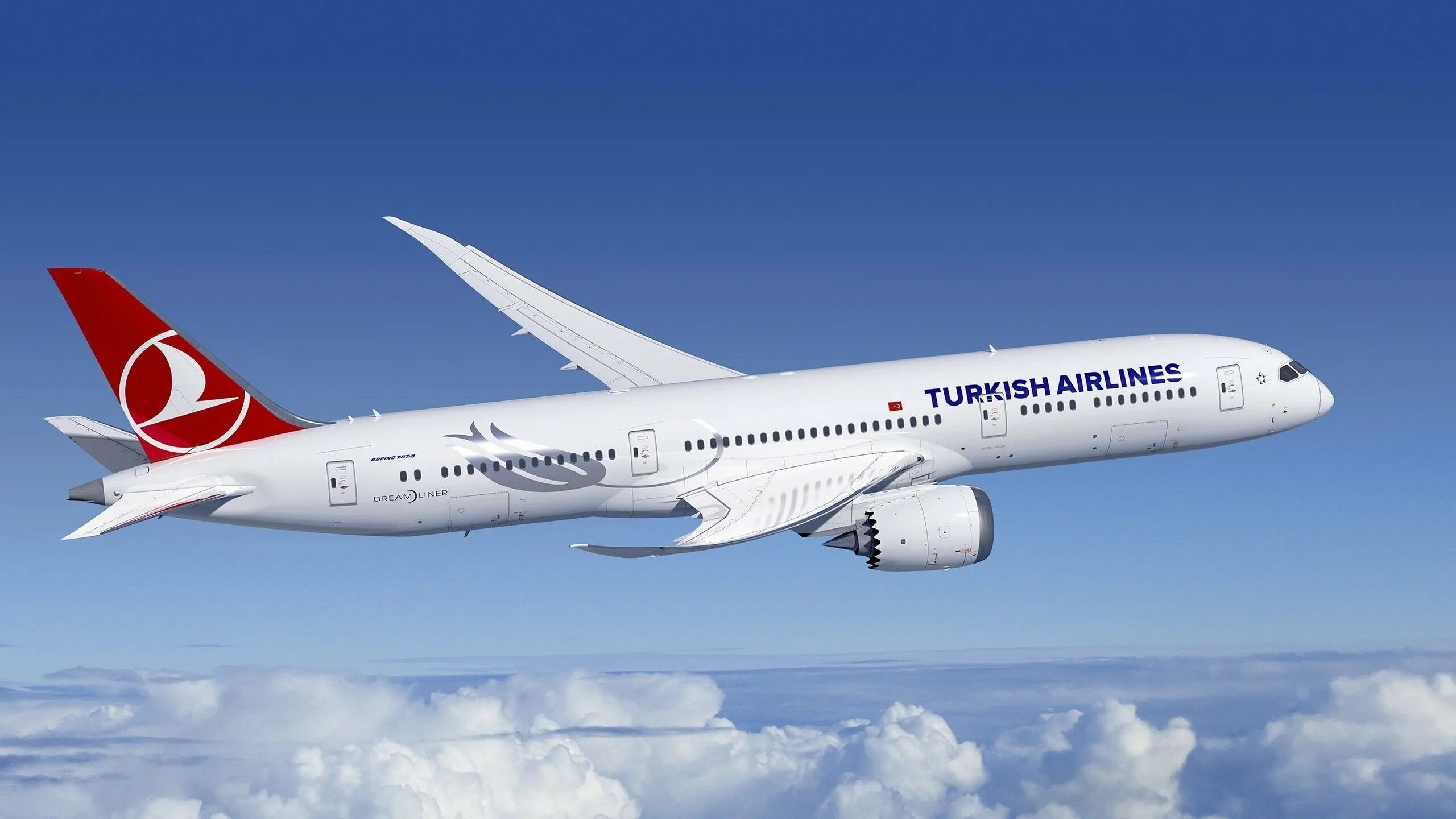 Boeing 787 Dreamliner авиакомпании. Turkish Airlines Boeing. Туркиш Эйрлайнс Боинг. Boeing 787‑9 турецкий.