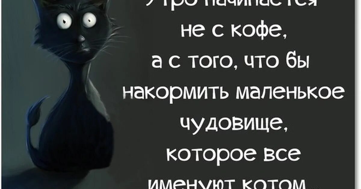 Статус утро начинается. Статусы про утро со смыслом. прикольные картинки с надписями ржачные со смыслом. философия жизни цитаты смешные. статусы утром со смыслом.