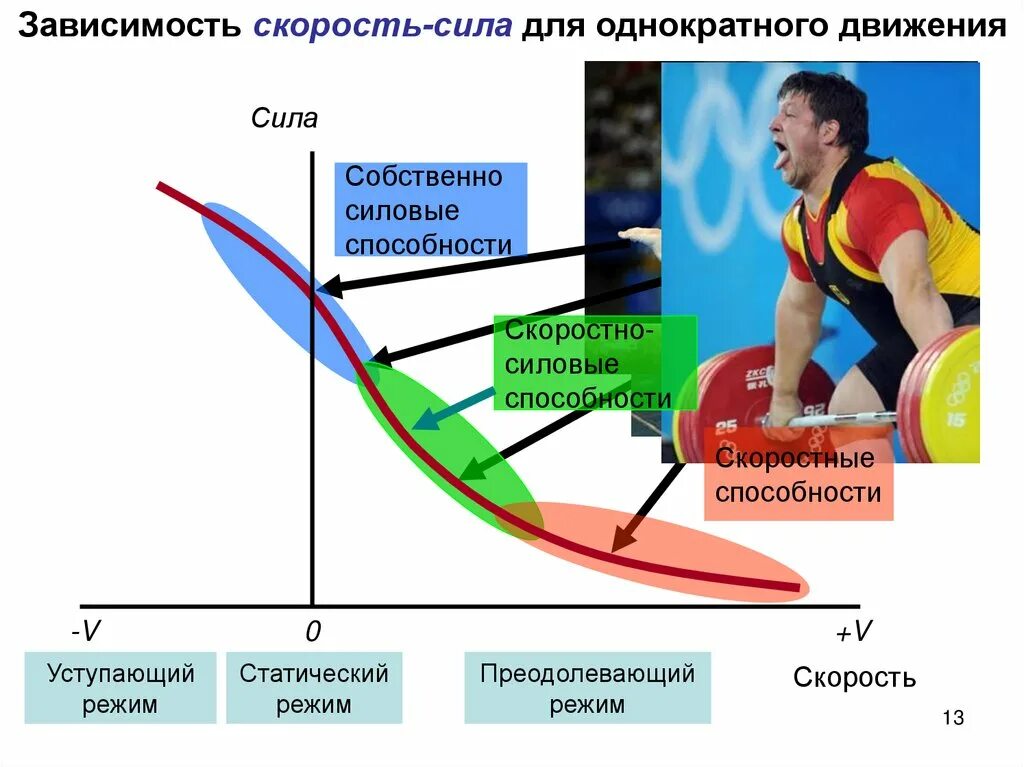 Способности спортсмена. Силовые способности. Биохимические основы скоростно-силовых качеств. Виды собственно силовых способностей. Качество скоростно силовые способности.