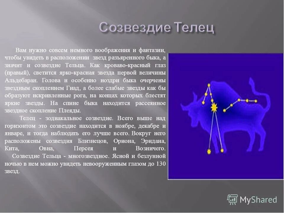 Сценарий созвездие. Созвездие Телец. Зодиакальное Созвездие Телец. Созвездие тельца описание. Созвездие Телец звезды.