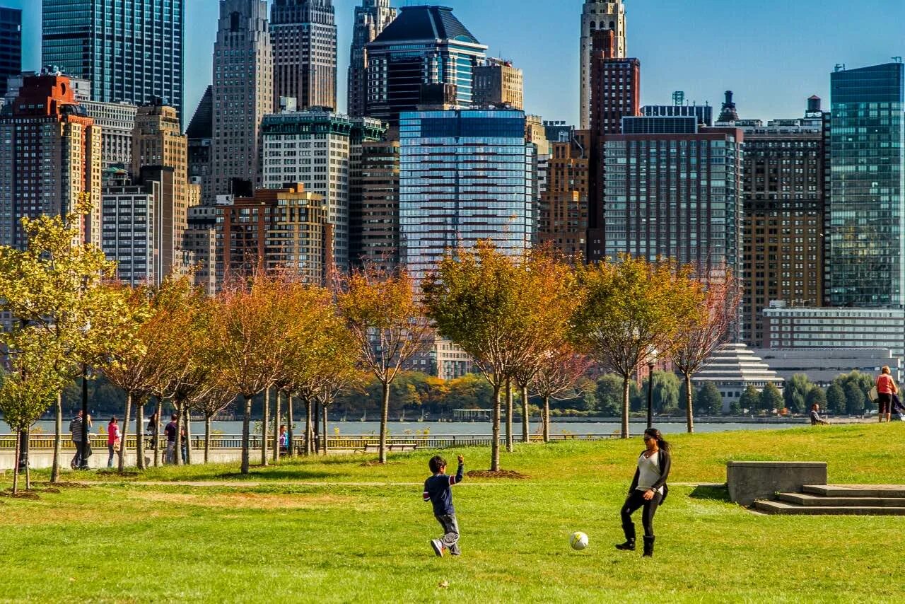 The city park reading. Центральный парк нью-йорк. New york park grass level. The city park reading. Центральный парк нью-йорк летом.
