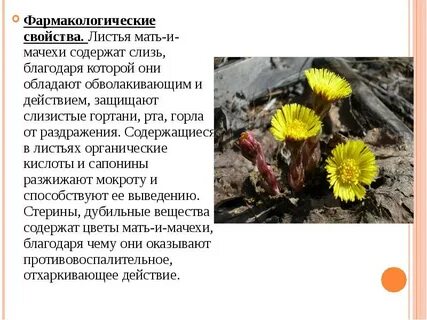 Мачехе нужен
