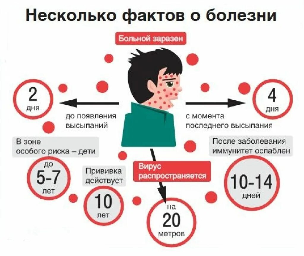 Горло прививка