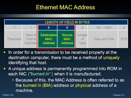 Find mac address