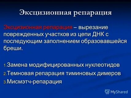Приняли репарацию