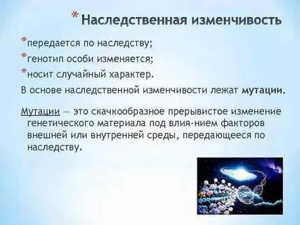 От кого передается характер ребенку