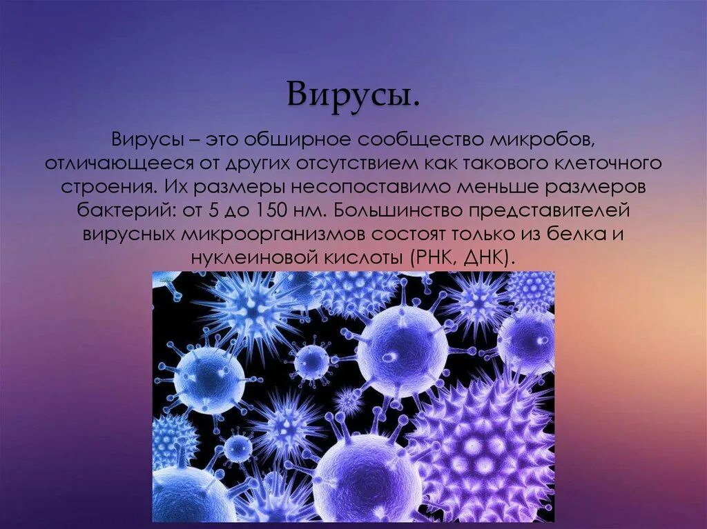 Вирус. Вирусы биология. Проект на тему вирусы по биологии. Вирусы доклад.