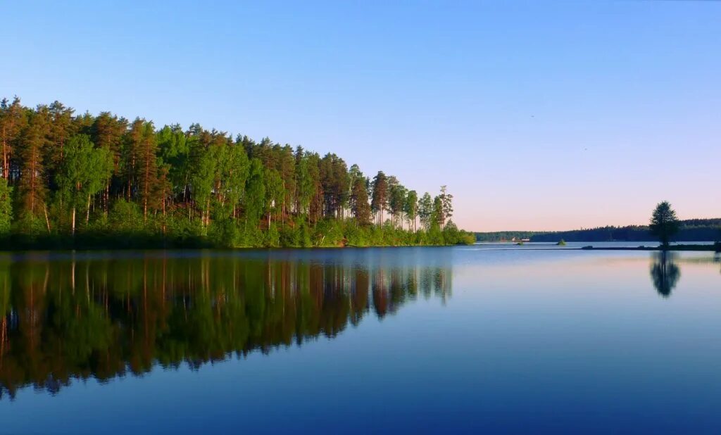 Участок озеро большое. Большое Симагинское озеро Зеленогорск. Озеро красавица Зеленогорск. Озеро красавица Ленинградская область. Озеро красавица большое Симагинское озеро.