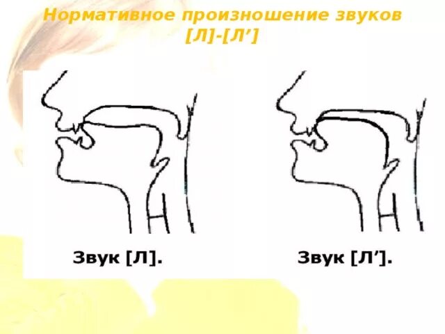 Правильный звук первой. Артикуляция звука л. Нормативное произношение звуков. Произношение звука л. Профиль артикуляции звука л.