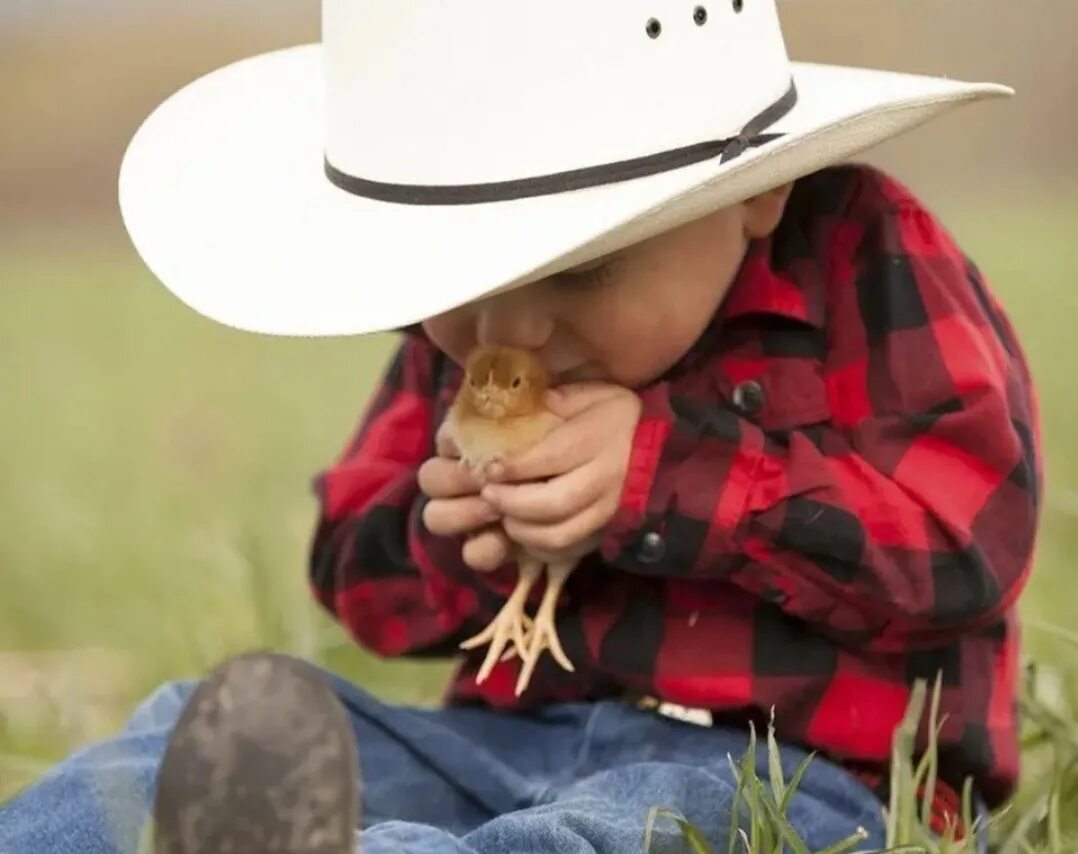 доброта картинки. добро и добрые поступки. она добрый человек. люди добрые. для детей.
