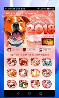 2018 год зодиака