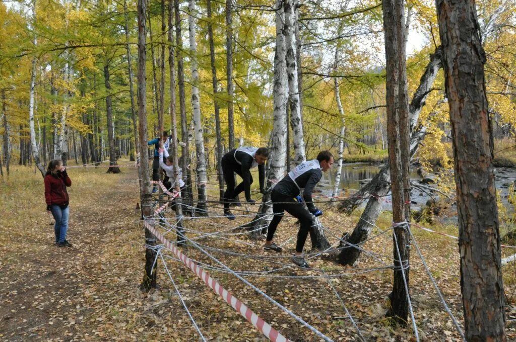 Веревочный парк чита. Парк хамелеон Чита. Канатный парк Чита. Верёвочный парк в Чите. Канатный парк хамелеон Чита.