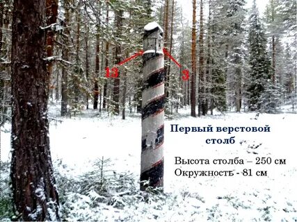 Деревца на версту кругом не увидишь