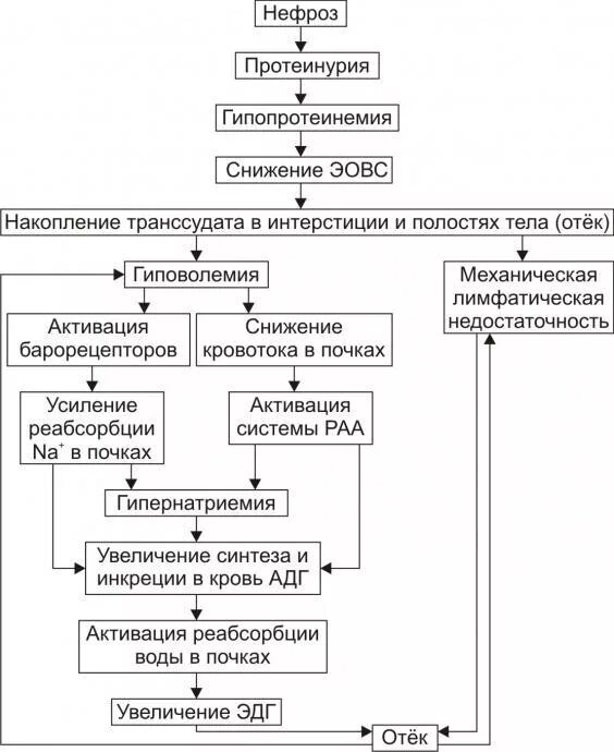Основной фактор в патогенезе воспалительного отека. Патогенез почечных отеков патофизиология. патогенез отека при нефрозах. механизм развития отеков при поражении почек. механизм развития отеков при почечной недостаточности.