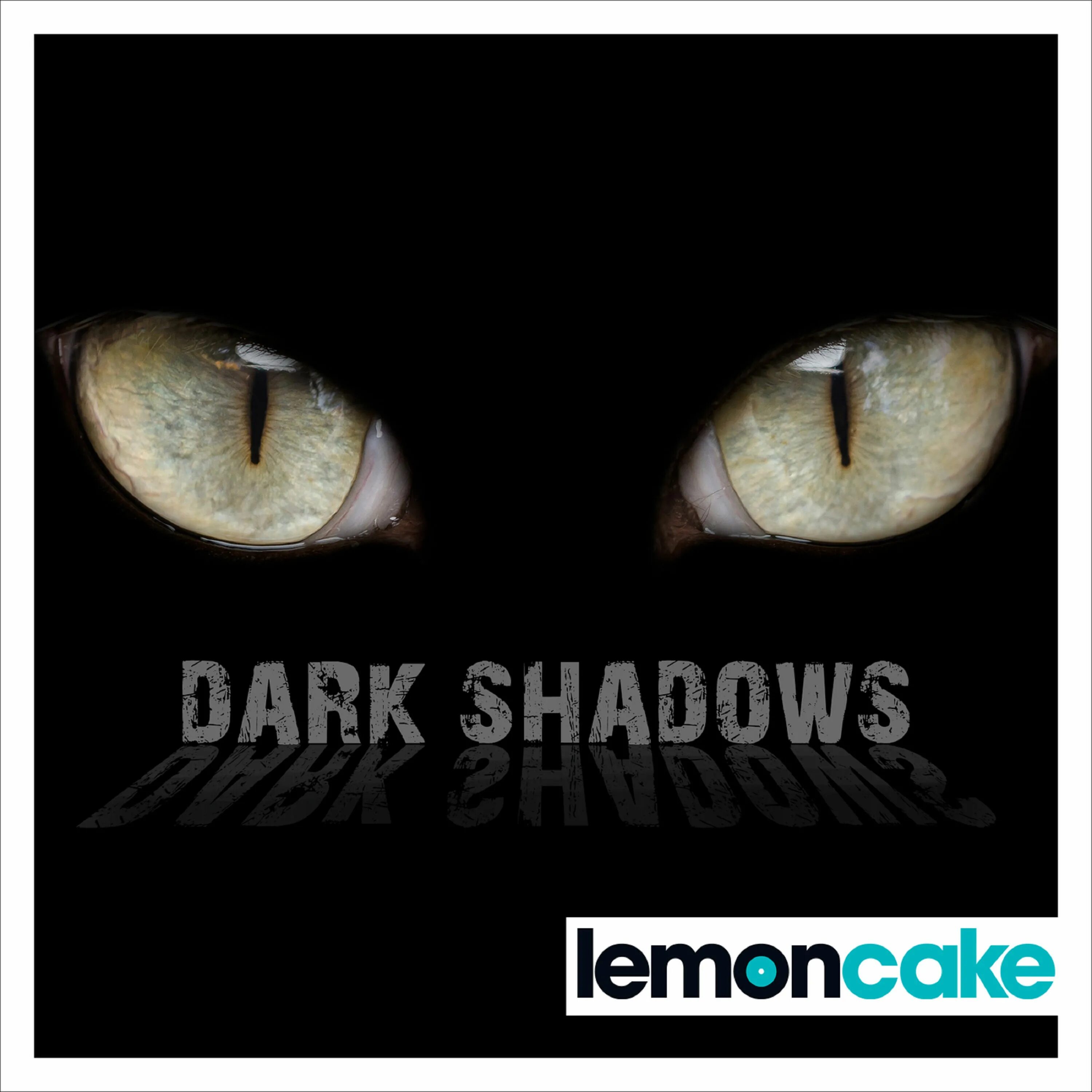 Tom shadow. Shadow Thomas. Bob Dylan Shadows in the Night. Shadows - Shadows in the Night, Дата релиза, альбом. In the Shadows — Amy Stroup.