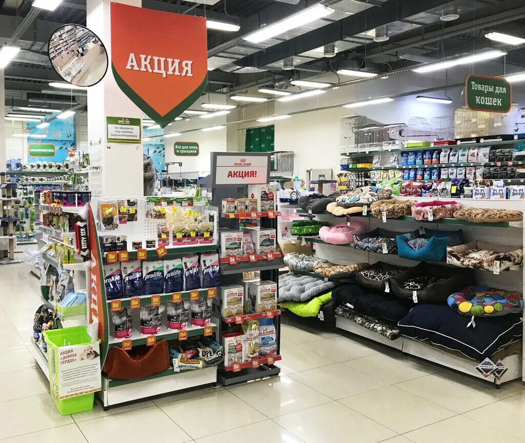 Г. Ломбард верхняя пышма кривоусова 34. Зоомагазин верхняя пышма. Зоомагазин верхняя пышма. Магазин для животных верхняя пышма.