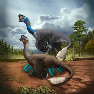 World’s First: Dinosaur Discovered Sitting on Nest of Eggs With Fossilized ...