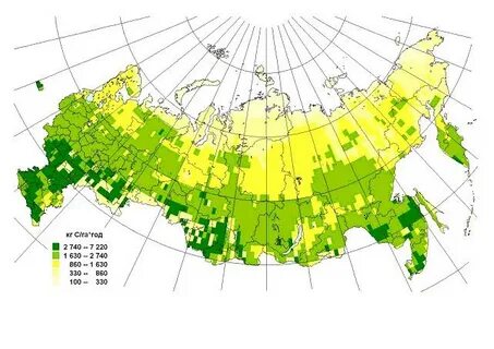 Самые большие запасы фитомассы земного шара
