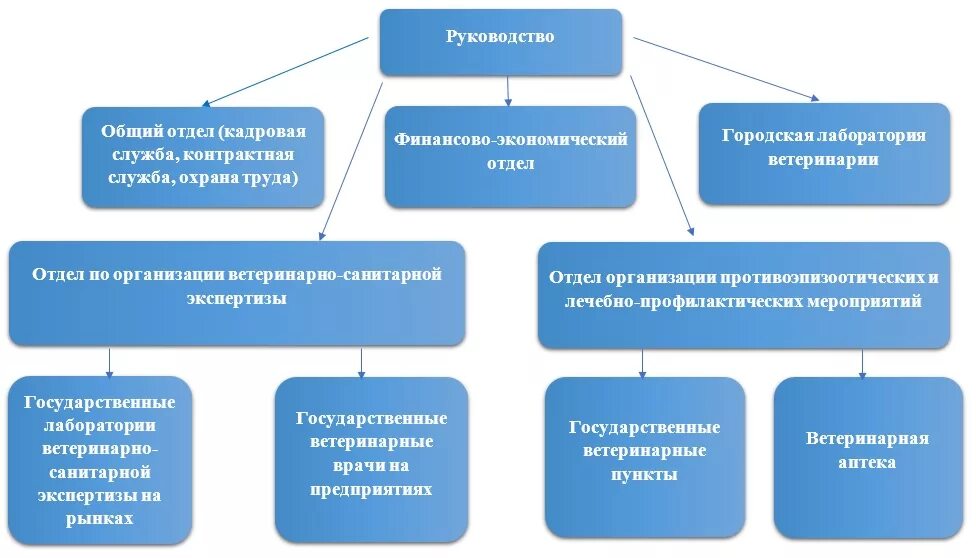 Контрактная служба организации. Структура контрактной службы. Структура ветеринарного бюджетного учреждения. Структура ветеринарной службы. Организационная структура контрактной службы.