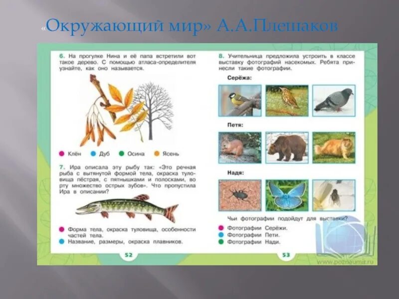 Учебник по окружающему миру 1 класс школа России пляшилова. Окружающий мир 1 класс учебник Плешаков. Окружающий мир. 1 Класс 1 часть. Плешаков а. а. школа России. Темы по окружающему миру 1 класс.