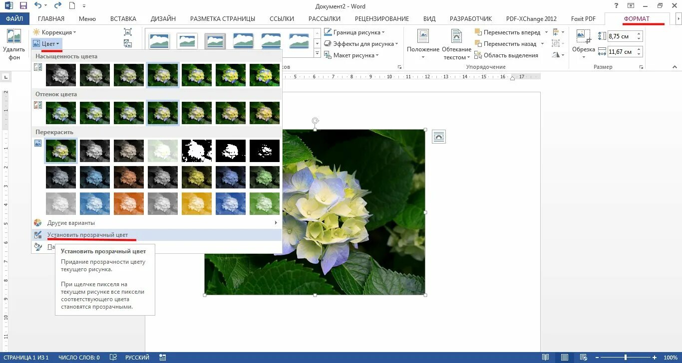 Как сделать фон прозрачным в повер поинт. Прозрачность рисунка в Ворде. Прозрачный рисунок в Word. Как сделать картинку прозрачной в Ворде. Прозрачный цвет в Ворде.