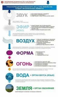 Земля органы