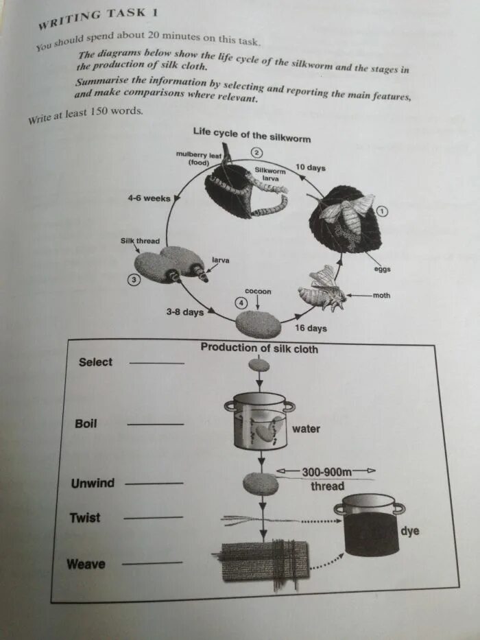 Task 1. IELTS writing 1 process. IELTS writing task 1 process. IELTS writing process. Task 1 process Samples.