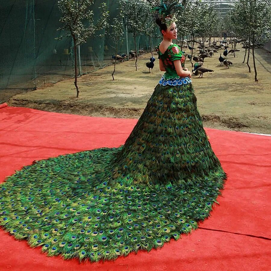 Платье самой. Вера Вонг и платье из павлиньих перьев. Платье Павлин Peacock Dress. Необычные платья. Необычные Свадебные платья.