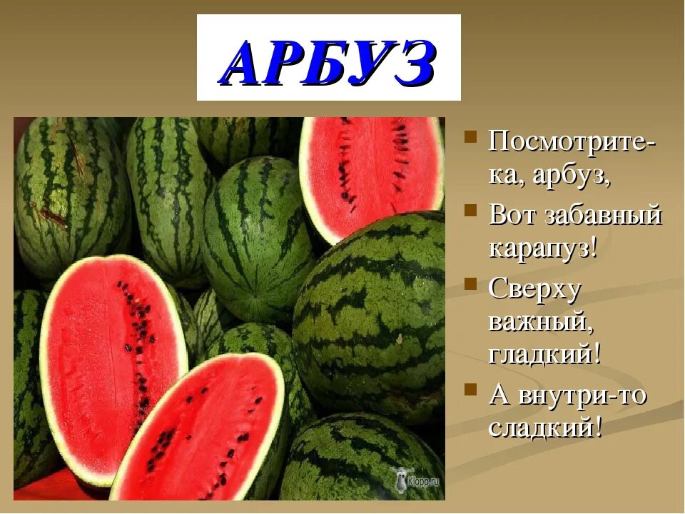 Про арбузы детям. Факты о арбузе. Культурные растения Арбуз. Арбуз для презентации. Арбуз слайд.