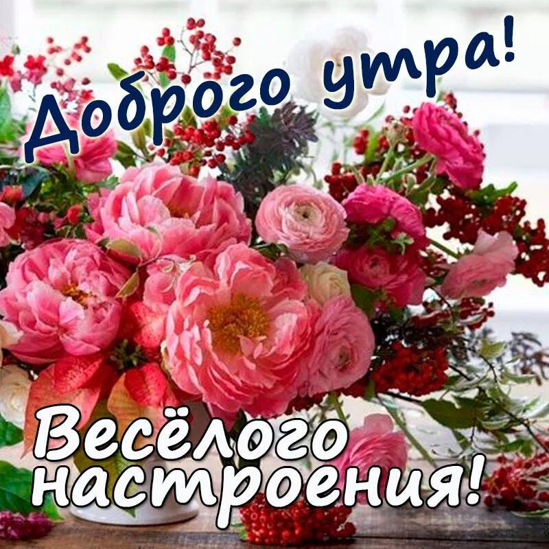 Доброе танечка. Доброе утро танечка. открытки с добрым утром таня. с добрым утром танюша. танечка с добрым утром и хорошего дня.