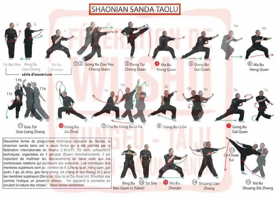 Цигун упражнения бодхидхарма. О культивации боевые искусства. Шаолинь боевые искусства. Мир культивации. Пик боевых искусств ранги сил.