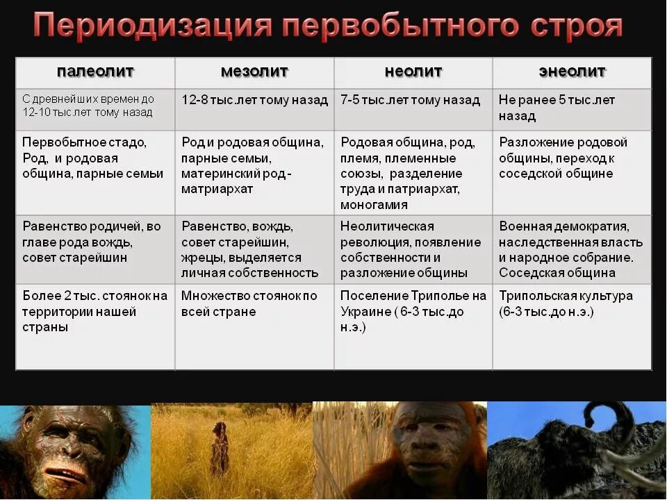 Исторические этапы эволюции. Первобытный период человечества. виды обществ первобытное. периодизация первобытного строя. этапы развития первобытного человека.