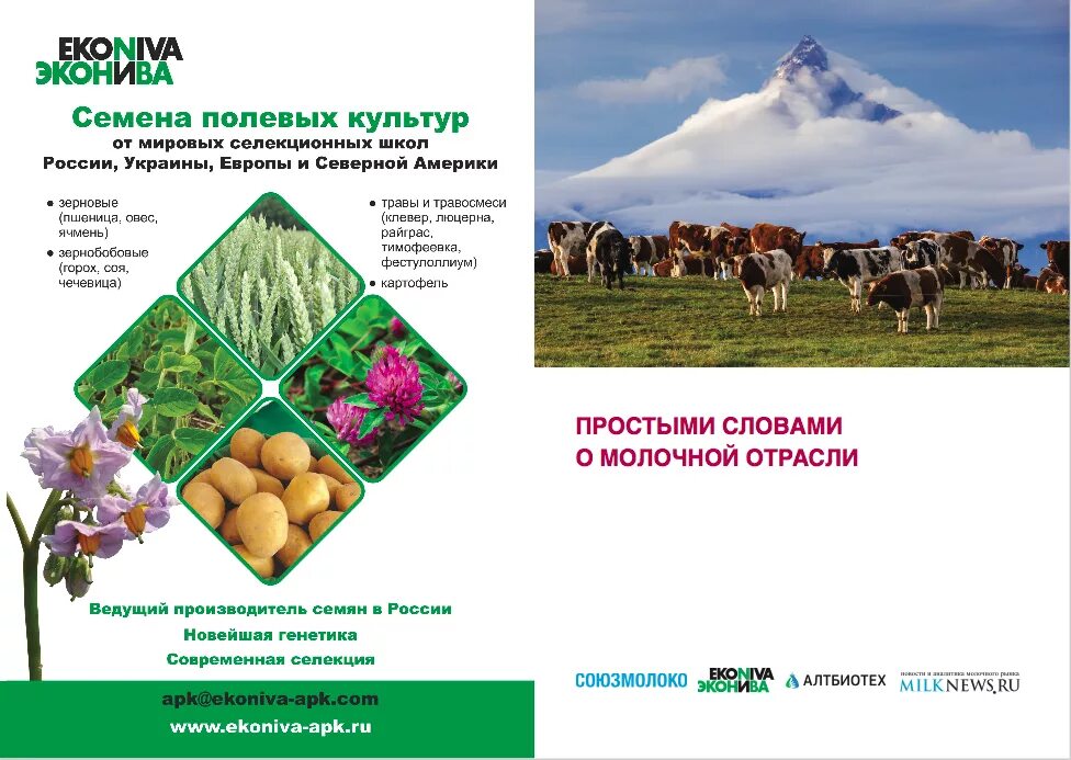 Эконива чье производство. Эконива. эконива семена. семеноводство эконива. эконива алтай.