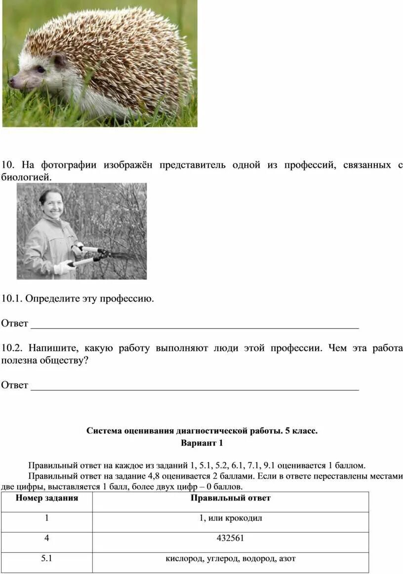 Какая профессия связана с биологией впр 5. Представитель одной из профессий связанных с биологией. Профессии связанные с биологией ВПР. Профессия связанная с биологией ВПР 5 класс. ВПР 5 класс биология профессии связанные с биологией.