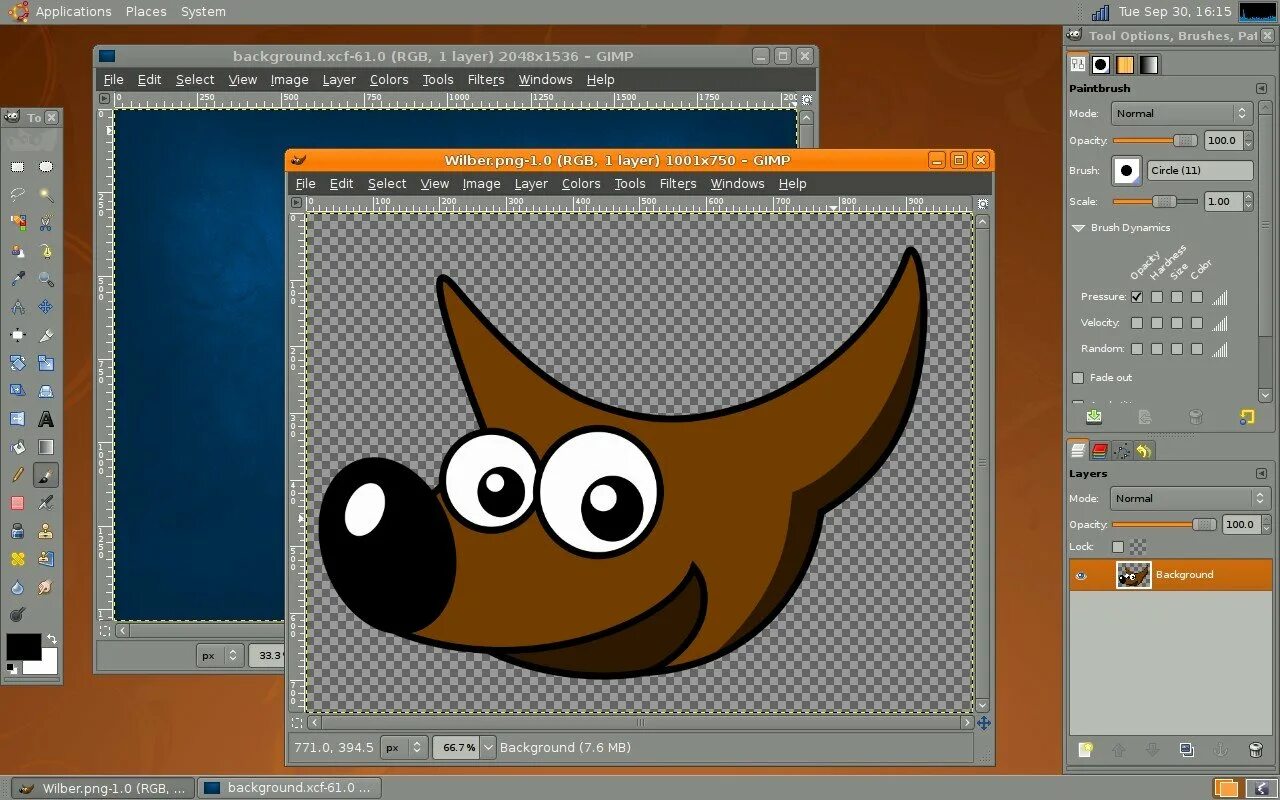 Gimp. Gimp. Графический редактор gimp. Растровые и векторные графические редакторы. Сайты гимпа.