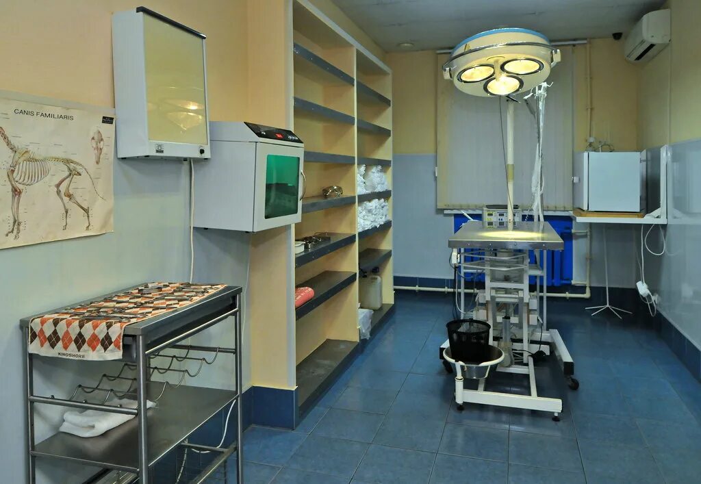 18 бронницы. Бронницы 107. Бронницы егорьевская. Спасо-кукоцкий монастырь село сербилово. Бронницы направление.